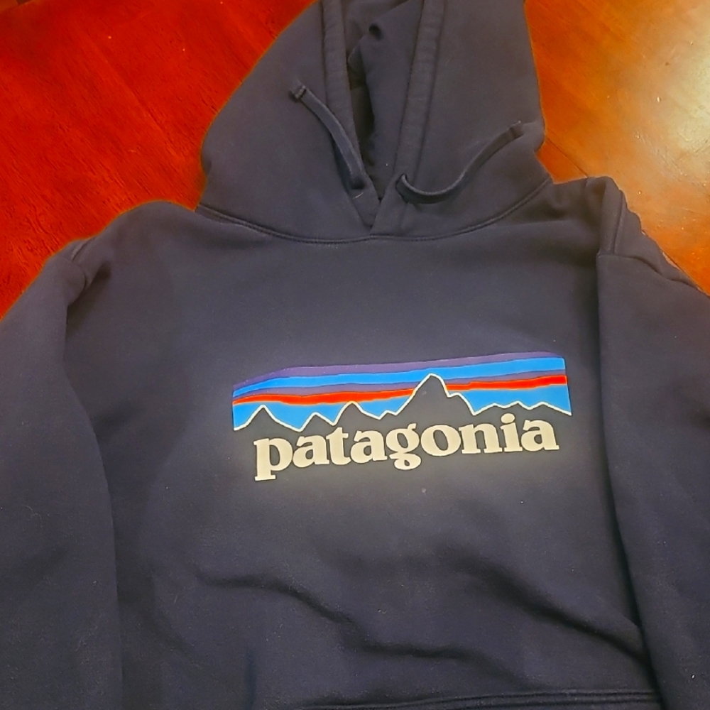 Patagonia Men's Navy Hoodie